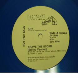 Shy : Brave the Storm (EP)